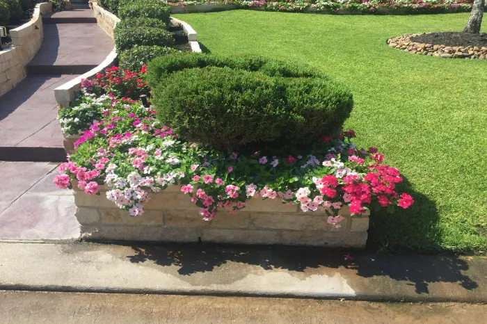 Bush Trimming