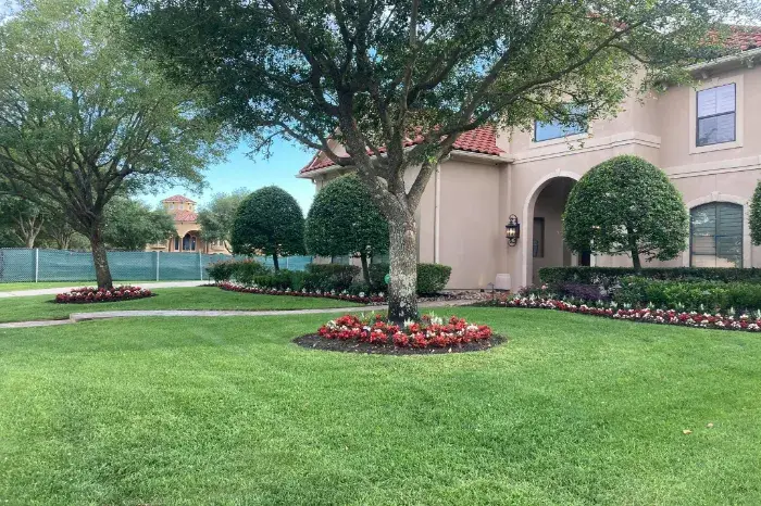 Iglesias Lawn Services's Other Services