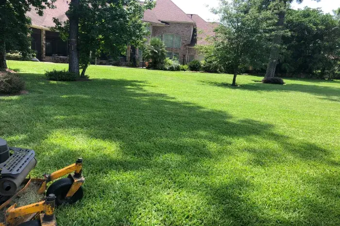 Lawn Mowing