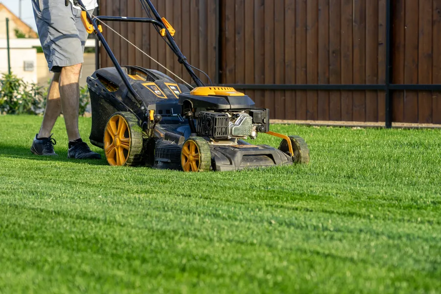 Benefits Of Hiring Professionals For Lawn Mowing Services Porter, TX