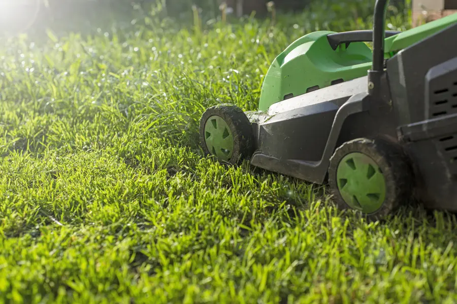 Benefits Of Hiring Professionals For Lawn Mowing Services in Porter, TX