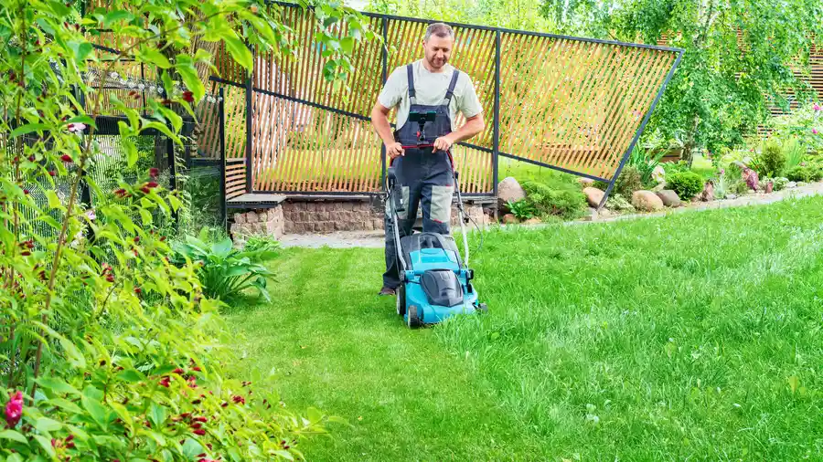 Experienced Lawn Mowing Porter, TX