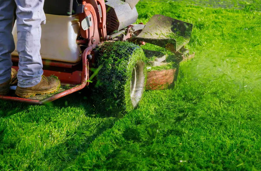 Expert Lawn Mowing Porter, TX