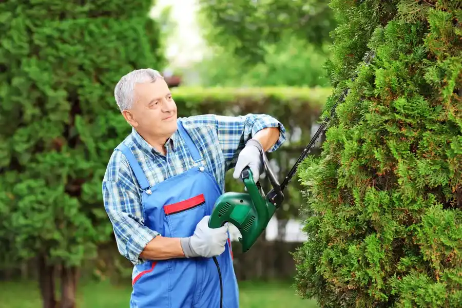 Reliable Bush Trimming Porter, TX