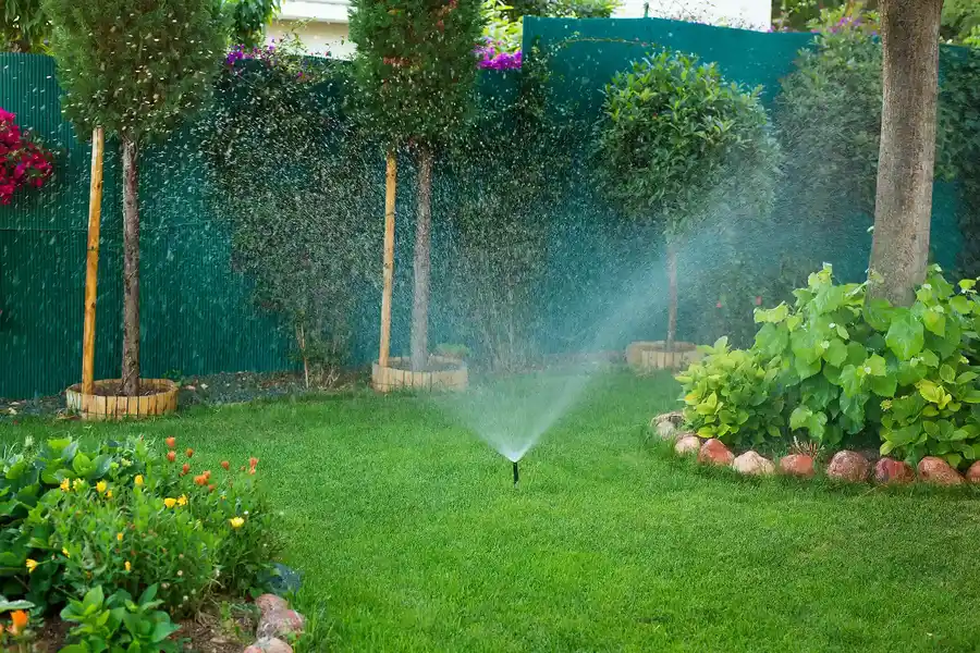 Landscaper in Porter, TX